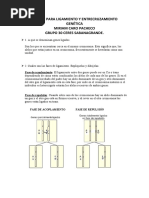 Taller Entrecruzamiento