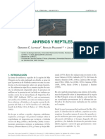 ANFIBIOS REPTILESr