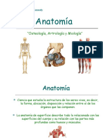 Anatomía