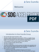 2019 04 29 SSC Presentation To SDG Accelerator