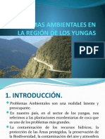 Problemas Ambientales Yungas