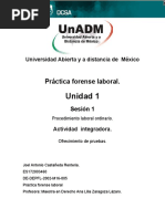 Unidad 1: Práctica Forense Laboral