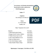 Reporte de Investigación-Equipo B