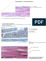 Histologia e Bioquímica