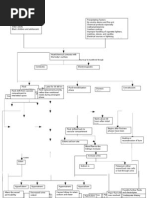 Pathophysiology of Burn Injury (1) DV