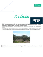 Olivier PDF