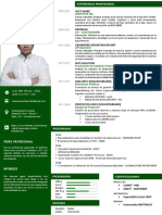 CV Documentado 2021 - Henry Camposano