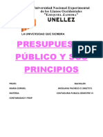 Analisis y Ensayo de Presupuesto Publico