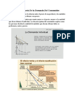 Informe Teoría de La Demanda Del Consumidor