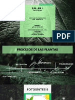 Las Plantas-Procesos de Nutrición