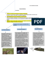 Sistema Sensorial de Los Animales-Melinda Colman-Terminado