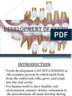 Development of Teeth