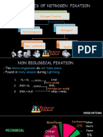 Nitrogen Fixation