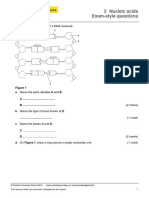 AQA Biology: 2 Nucleic Acids Exam-Style Questions