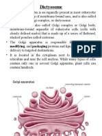 Dictyosome: Modifying, and Packaging Proteins and Lipids Into Vesicles For