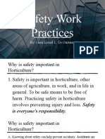 Safety Work Practices - GIAN