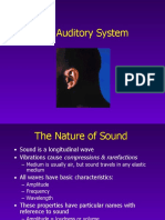 The Auditory System