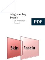 Integumentary System: Dr. Ammarah Naseer