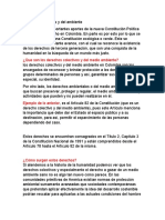 Derechos Colectivos y Del Ambiente Exposicion