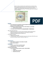 Periorbital Cellulitis