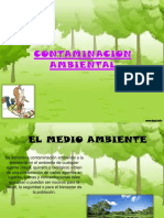 Contaminacionambiental 131125071608 Phpapp01