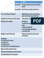 Difference Between DNA Replication in Prokaryotes and Eukaryotes