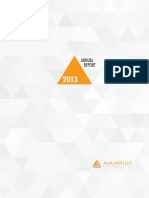 Aquarius Platinum Annual Report 2013