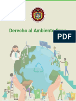 Derecho Al Ambiente Sano 2020