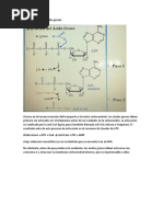 Activación de Los Ácidos Grasos