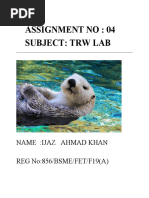 Assignment No: 04 Subject: TRW Lab: Name:Ijaz Ahmad Khan REG No:856/BSME/FET/F19 (A)