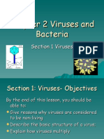 6th Grade Science Chapter 2 Viruses and Bacteria