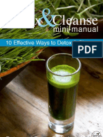 Cleanse Detox Minimanual2011