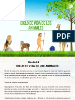 Ciclo de Vida de Los Animales