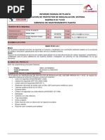 Informe de Seguridad de Parada de Planta Chancado Primario, Sistema RARING #01,#02