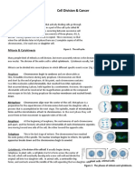 BIOS 1705 - Lab 8 Cell Division & Cancer