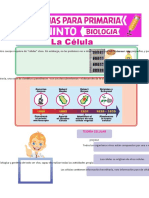 La Célula para Quinto de Primaria