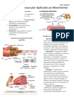 Sistema Neuromuscular Aplicado Ao Movimento