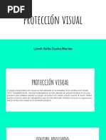 Charla de Proteccion Visual