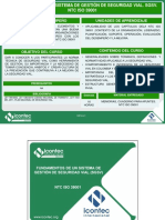 Fundamentos Del Sistema de Gestion de Seguridad Vial.