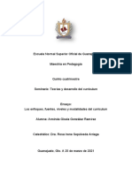 Ensayo. Los Enfoques, Fuentes, Niveles y Modalidades Del Curriculum