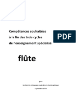 Competences Flute