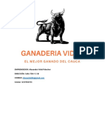 Proyecto Ganado de Ceba Vidal