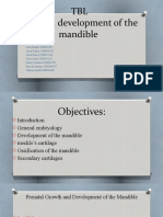 TBL Prenatal Development of The Mandible