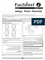 A225 Water Potential - Synoptic