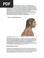 First Discoveries: Neanderthal, (Homo Neanderthalensis, Homo Sapiens Neanderthalensis), Also