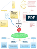 A1 - Mapa Mental - Cris