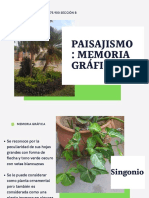 Paisajismo - Memoria Gráfica Paula Bustillos