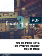 Tube Program Equalizer 3 Bands of Glory Analogvibes