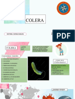 Colera Diapositivas...