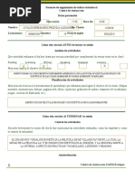 Formato Auto Acceso